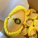 달푸르츠 이미지