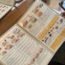 오리지널팬케이크하우스(가로수길점)주 | [가로수길 브런치 카페] 오리지널팬케이크하우스 가로수길점 내돈내산 솔직후기