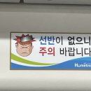 삼락천로 | 그저 Chill한 Chill일 보내기