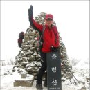 정상 이미지
