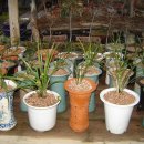 덕계농장 이미지