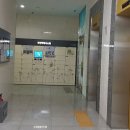 모아엘가워너비 이미지