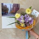 아미플레르 이미지