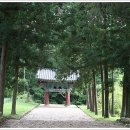 대안사 경내 Daum카페
