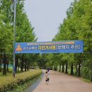 부산 밀 페스티벌 방문 후기 | 다음엔 시원한 시즌에, 초록초록한 공원에서 꼭 성공 개최되길