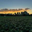 송도 글로벌파크4지구 이미지