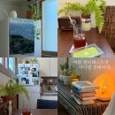 아오리 | 작은방, 여름 맞이 미니멀 인테리어. (샵 아오리 러그 후기)