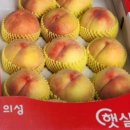 용택농장 이미지