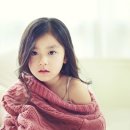 보보갤러리 스튜디오 Daum카페