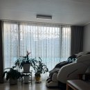 양지-3101 이미지