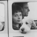 존재의 무게 이미지