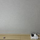 주연민박 이미지