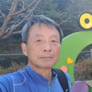 인제19-1 이미지