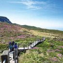 제주 물장오리오름 이미지