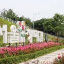 장미길 이미지