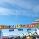 아리랑짬뽕 | 밀양아리랑 마라톤 후기