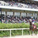 우승축산 이미지