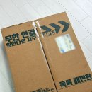 안녕, 내강아지 | 강아지 오줌 냄새 안녕! 배변패드 필요없는 똑똑한 반려견 배변판 '독톡' 후기