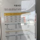 세종애견미용 | [세종] 산책하는강아지 :: 미용하고 미모 리즈 찍은 후기!(세종 연서면 애견미용)