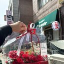 석삼말로2 | 안산 다즐플라워에서 어버이날 맞이 카네이션 구매했던 후기 내돈내산