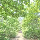 두   암 | 5월 두번째 암캠프 후기 - 희망을 말하다