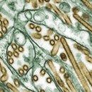 (주)유진헬스케어 이미지