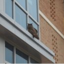 경상북도학생해양수련원 이미지