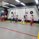 JTA 태권도장 이미지