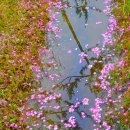 삼주공인중개사사무소 이미지