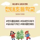 천태초등학교 이미지