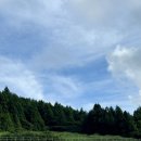 표선면-7 | [제주여행#7] 제주오름 추천 셀프웨딩스냅 커플사진 찍기 좋은 표선면 개오름 추천!