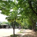 봉제산 오리나무쉼터 이미지