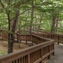 "청량한 숲으로 떠나세요"... 한국관광공사에서 추천하는 8월 힐링여행지 이미지