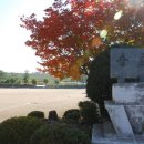 명지초등학교 이미지