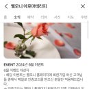 밸모니