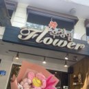 목화스마일 이미지