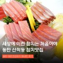 파도회 참치 초밥 전문점 | 산척동맛집 동탄참치 해온초밥참치 해세트 추천