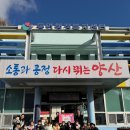 아이린어린이집 - 수원시 장안구 | 아이린어린이집