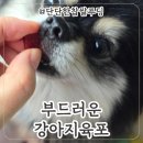 로니펫 | 페페로니펫 자른육포 후기, 소형견도 잘 먹는 강아지육포 추천