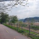 우두강둑길 이미지