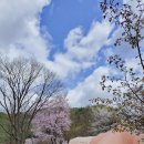 은석캠핑장 이미지