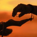 일동하와이 이미지