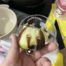 수면부족의 삶이란