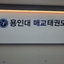 용인대 매교태권도장 이미지