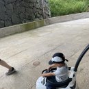 붕붕카매니아 이미지