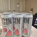 지에스25 파주대방점 | GS 편의점 하이볼 추천! 도수낮은술 아이긴(IGIN) 달콤토닉 수박맛 집에서 제대로 즐겨본 후기