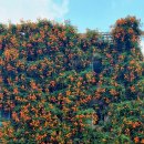 대봉1동주민센터 이미지