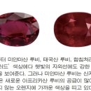 루비유통