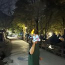 그늘막103 | 서울대공원 캠핑장에서 우리가족 첫 1박 2일 캠핑후기(103번사이트, 부대시설, 주차장과 카트대여 꿀팁...