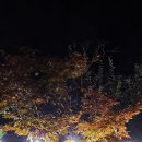 베리온리조트2 이미지